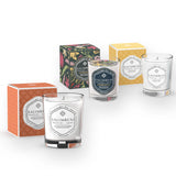 End-of-year offer: 190 g Ancient Wood scented candle + 190 g 190 g Spices of Byzantium scented candle + 190 g scented candle (SCENT OF YOUR CHOICE)