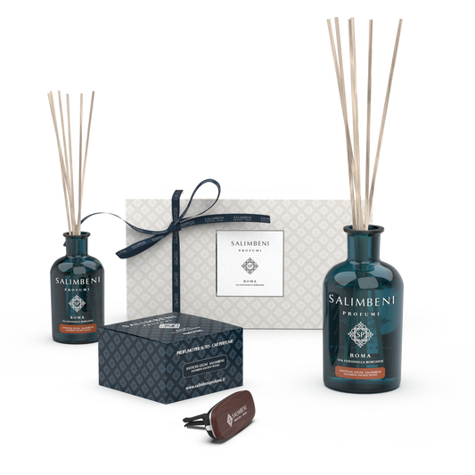 Salimbeni Ancient Wood (Wood Premium Car Perfumer + Stick Diffuser 100 ml + Stick Diffuser 250 ml + Gift Box)
